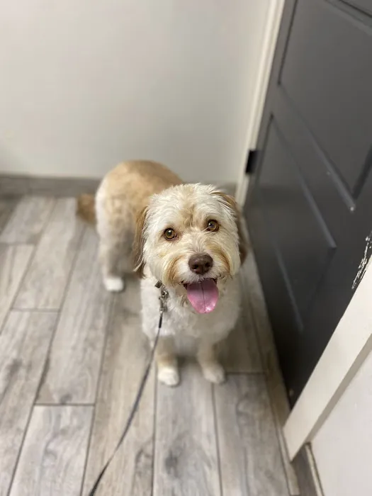 East Marietta Animal Hospital 3