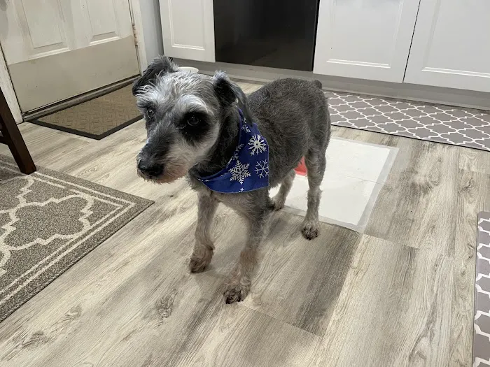 East Marietta Animal Hospital 9