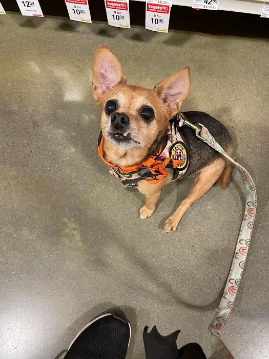 Banfield Pet Hospital 12