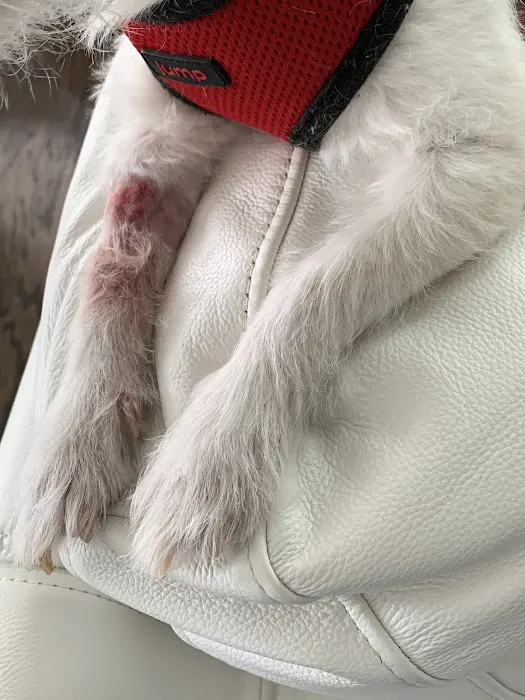 Banfield Pet Hospital 12