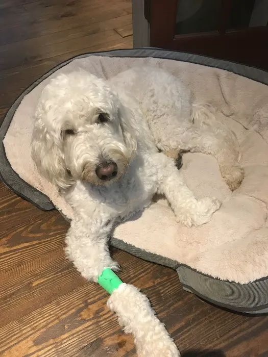 Banfield Pet Hospital 12