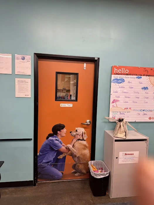 Banfield Pet Hospital 12