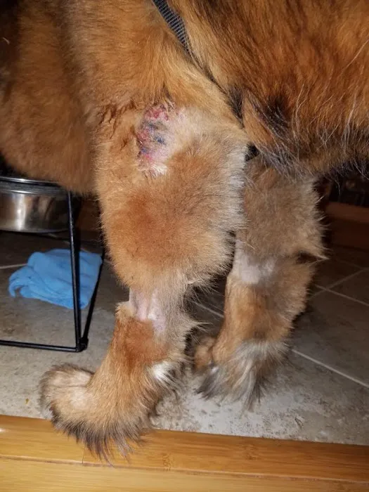 Roswell Vets4Pets 9