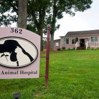 Roswell Vets4Pets ico