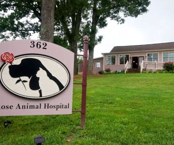 Roswell Vets4Pets