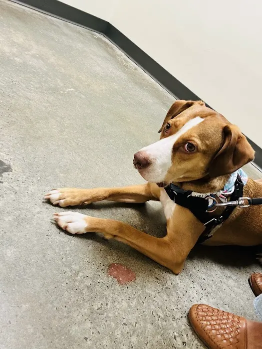 Vetco Total Care Animal Hospital 12