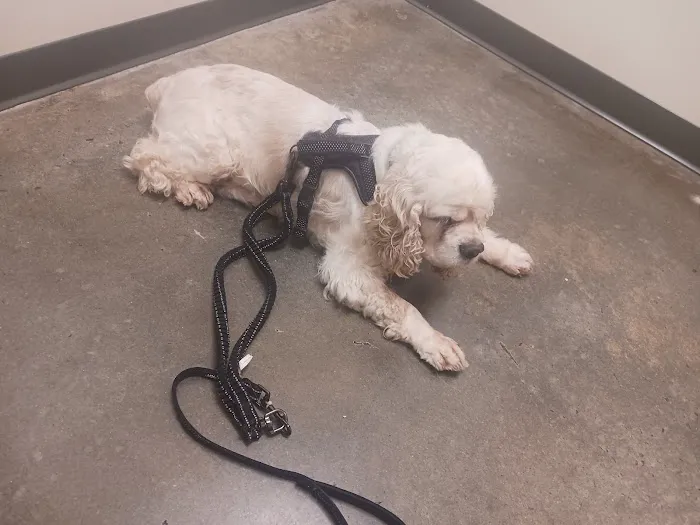 Vetco Total Care Animal Hospital 12