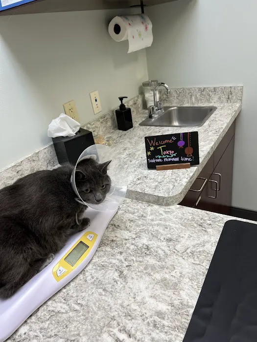 North Springs Animal Clinic 8