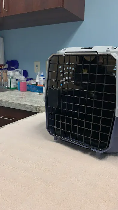 North Springs Animal Clinic 4