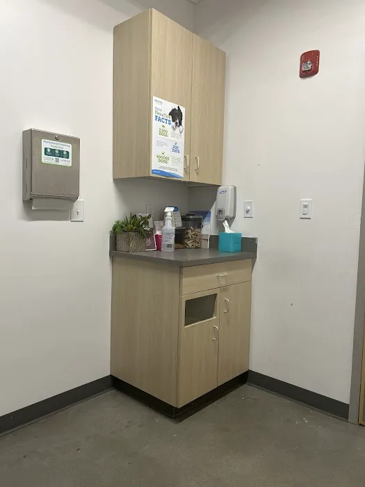Thrive Pet Healthcare - Marietta 1