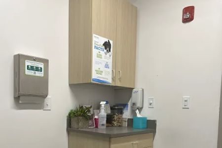 Thrive Pet Healthcare - Marietta