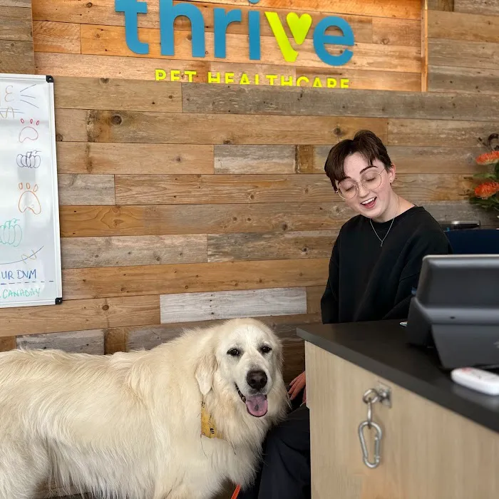Thrive Pet Healthcare - Marietta 8