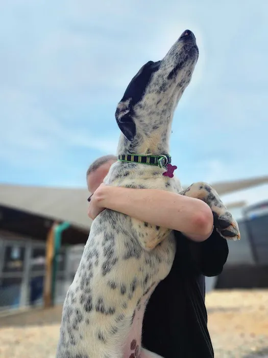 Beyond Pets Animal Hospital & Urgent Care 12