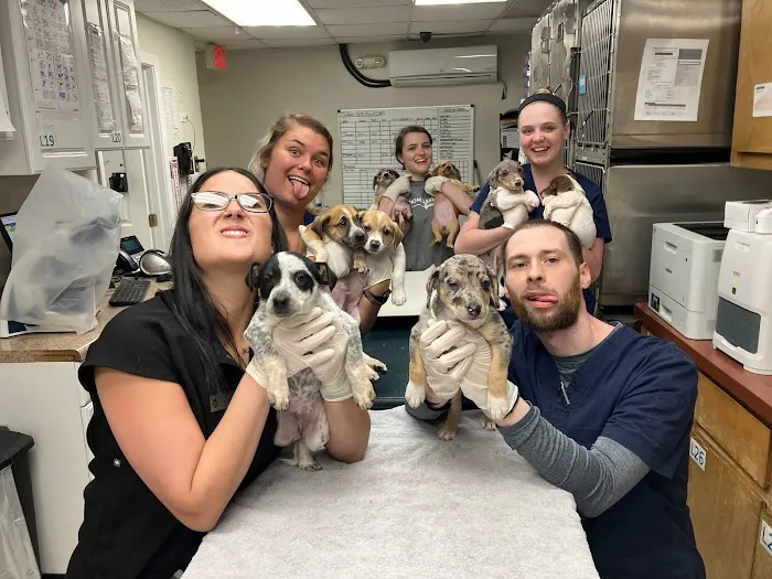 Beyond Pets Animal Hospital & Urgent Care 12