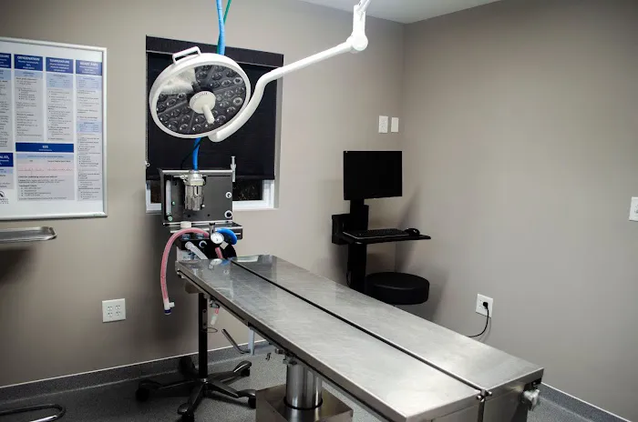 Roswell Veterinary Associates 12