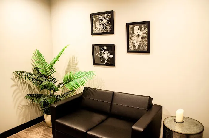 Roswell Veterinary Associates 12