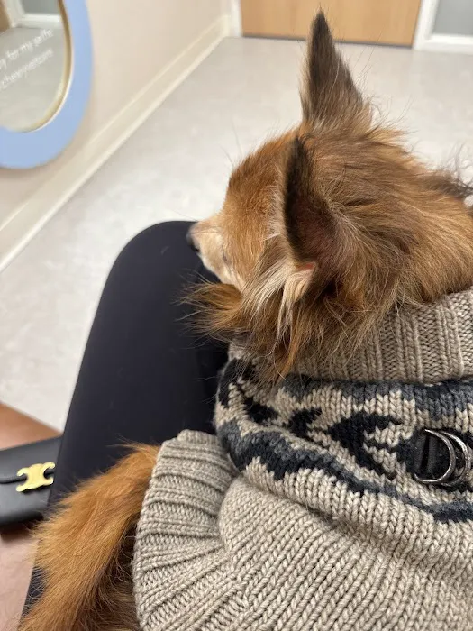 Chewy Vet Care Perimeter 12