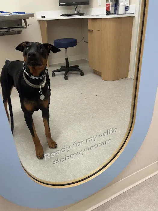Chewy Vet Care Perimeter 12
