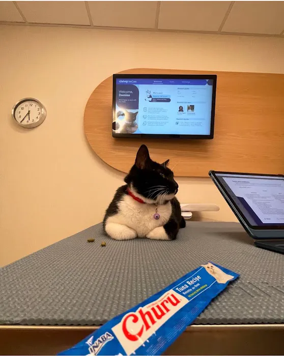 Chewy Vet Care Perimeter 12