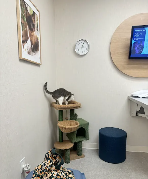 Chewy Vet Care Perimeter 12