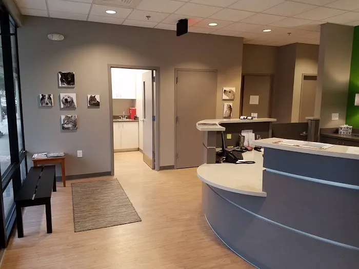 VCA Dunwoody Veterinary Center 12