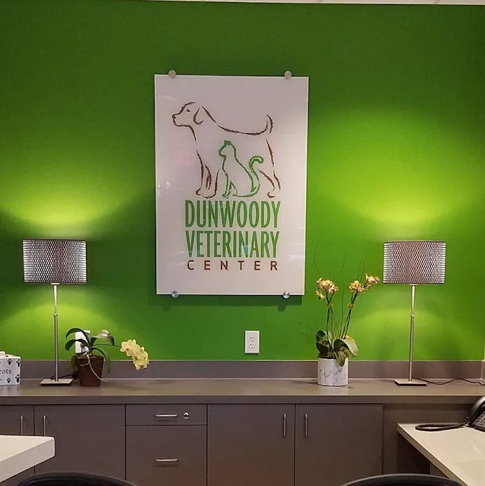 VCA Dunwoody Veterinary Center 12