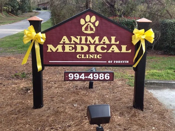Animal Medical Clinic-Forsyth 12