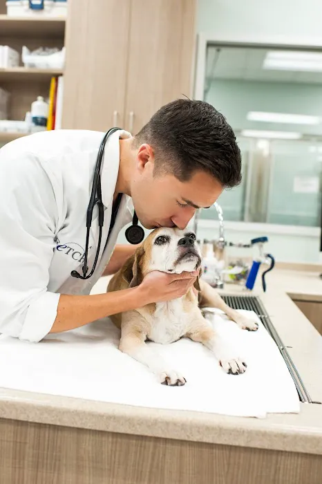 Fetch Specialty & Emergency Veterinary Centers - Greenville, SC 3