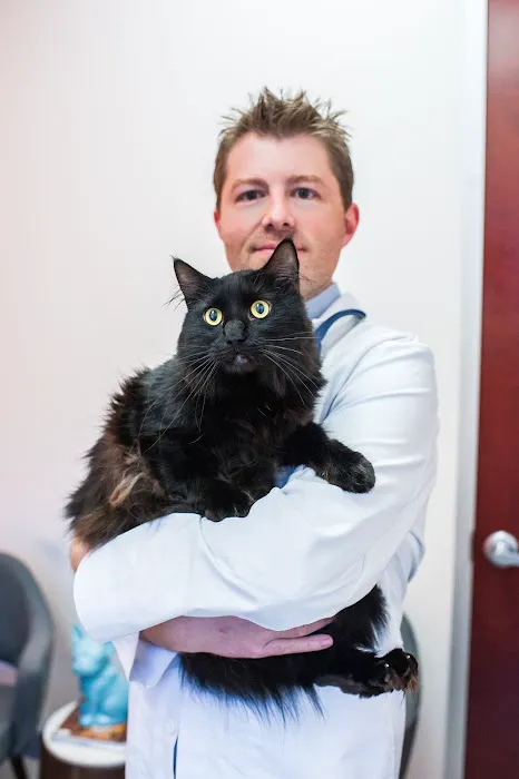 Fetch Specialty & Emergency Veterinary Centers - Greenville, SC 9