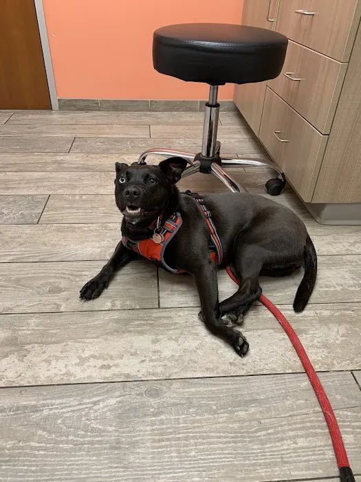 Fetch Specialty & Emergency Veterinary Centers - Greenville, SC 10