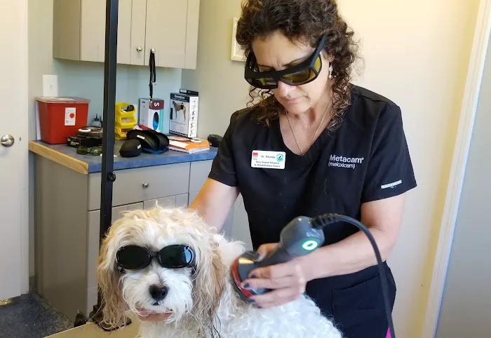 Ross Animal Hospital & Rehabilitation Center P.C. 4
