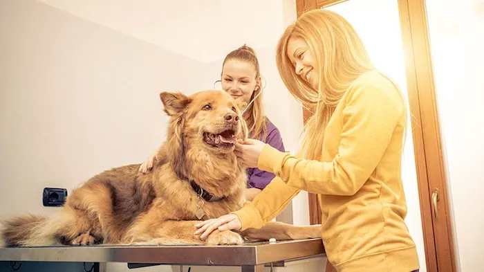 Animal Medical Of Covington 12