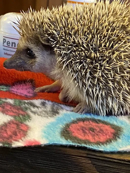 All Species Animal Hospital 6