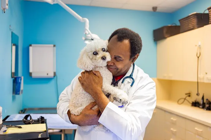 All Species Animal Hospital 9
