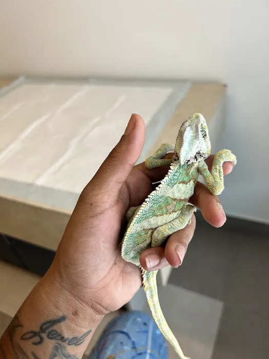 All Species Animal Hospital 10