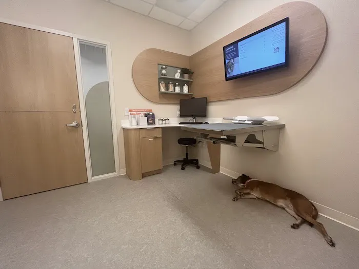 Chewy Vet Care Fountain Oaks 12