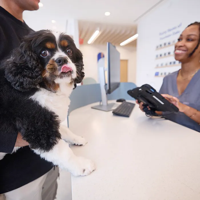 Chewy Vet Care Fountain Oaks 12