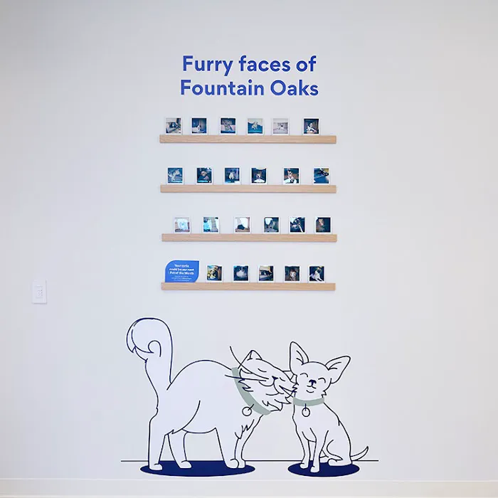 Chewy Vet Care Fountain Oaks 12