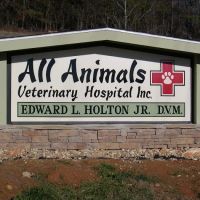 All Animals Veterinary Hospital ico