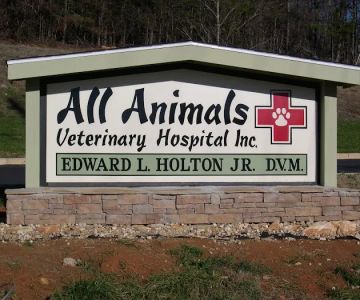 All Animals Veterinary Hospital