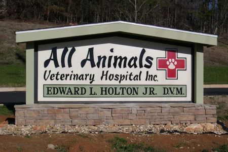 All Animals Veterinary Hospital