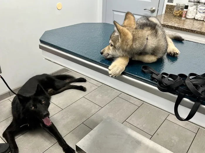 East University Veterinary Hospital 12