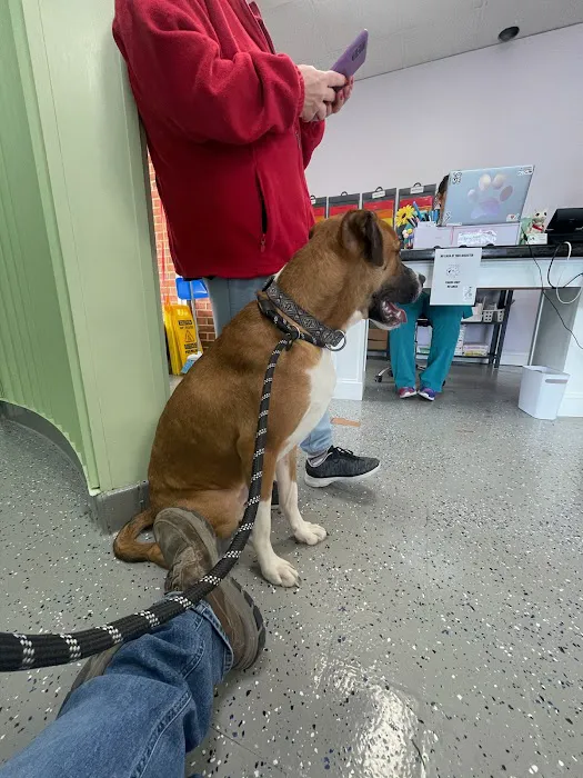 My Kids Have Paws Veterinary Services 12
