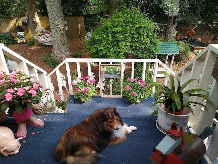 Banfield Pet Hospital 6