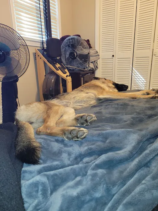 Tucker Animal Hospital 2