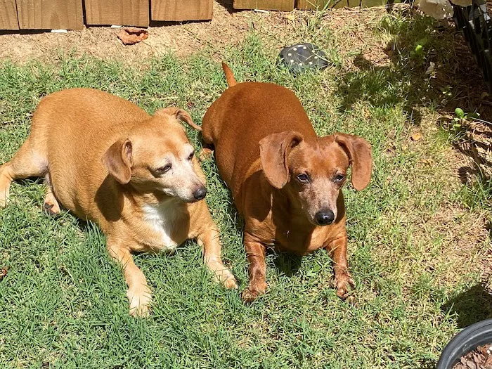 Tucker Animal Hospital 9
