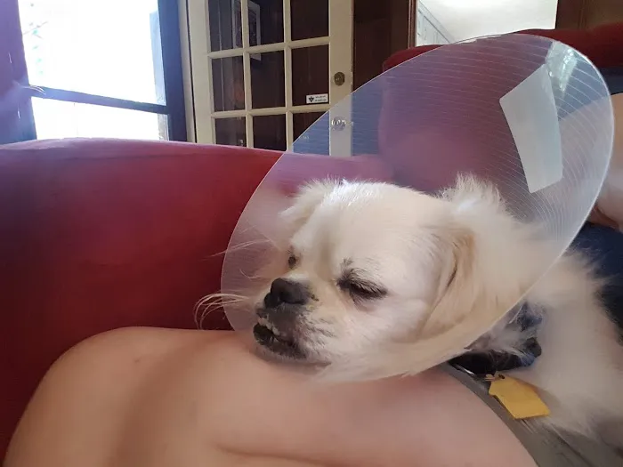 Tucker Animal Hospital 6