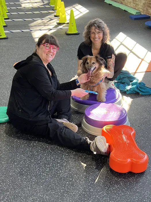 Resurgence Veterinary Mobility 7