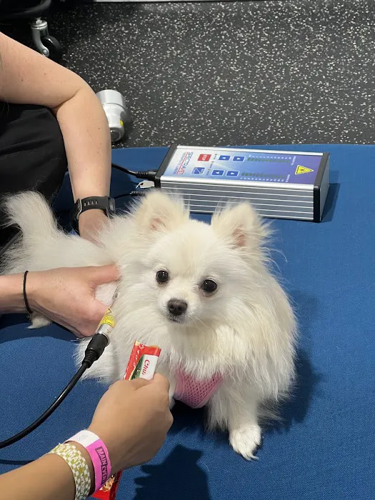Resurgence Veterinary Mobility 3