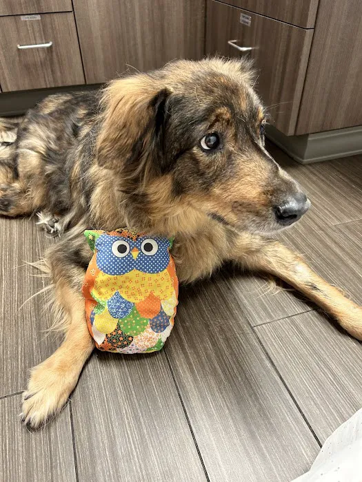 Brookhaven Animal Hospital 10